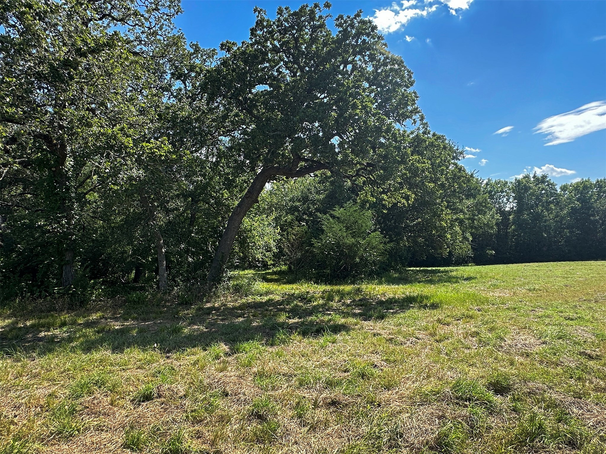 - Sun Oil Road Property Photo 24