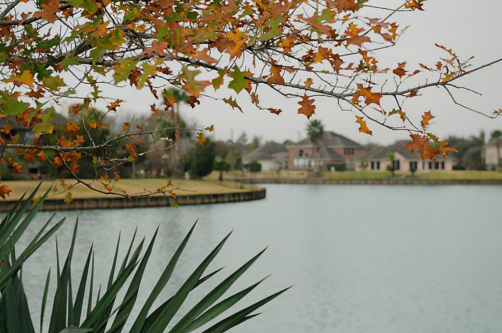 6802 Spanish Bay Court Property Photo 1