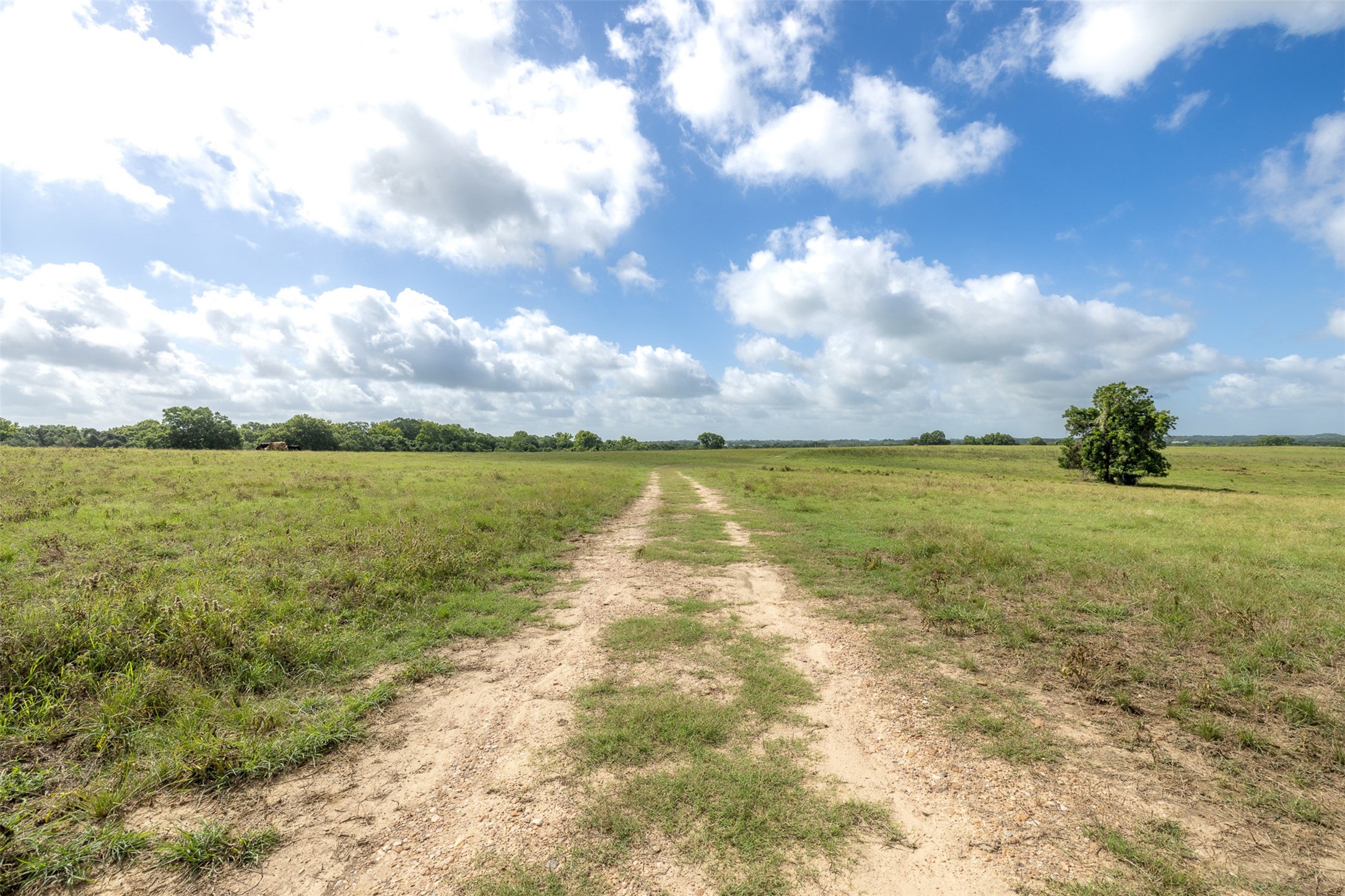 6550 Gibbs Creek Road Property Photo 12