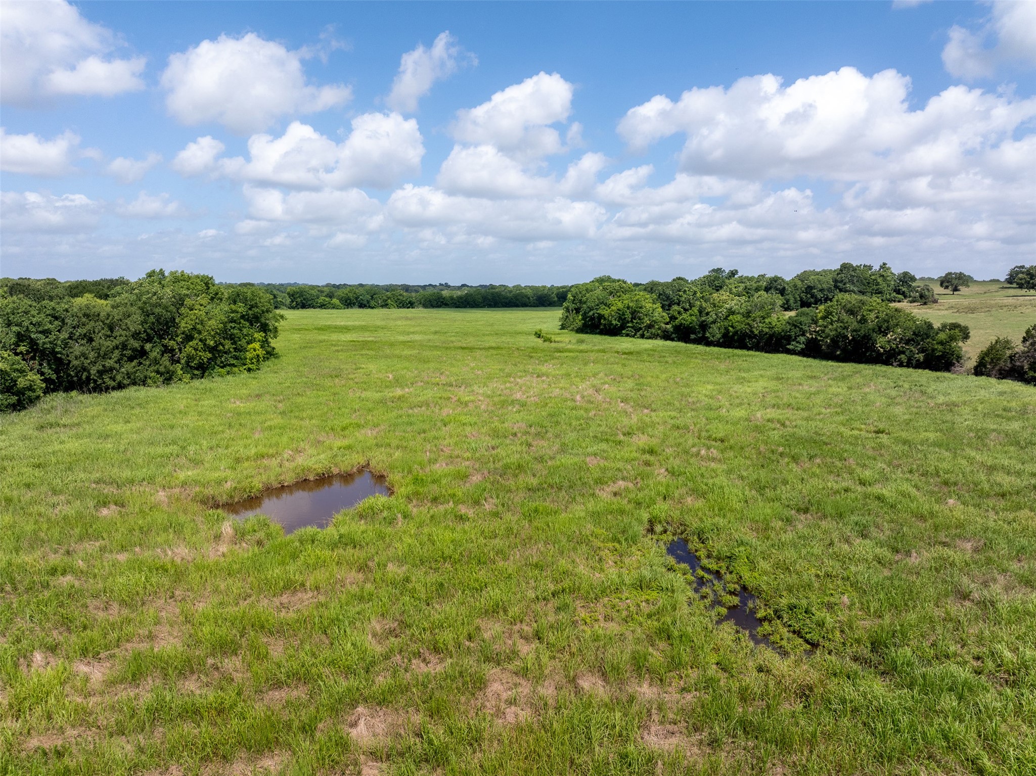 6550 Gibbs Creek Road Property Photo 24