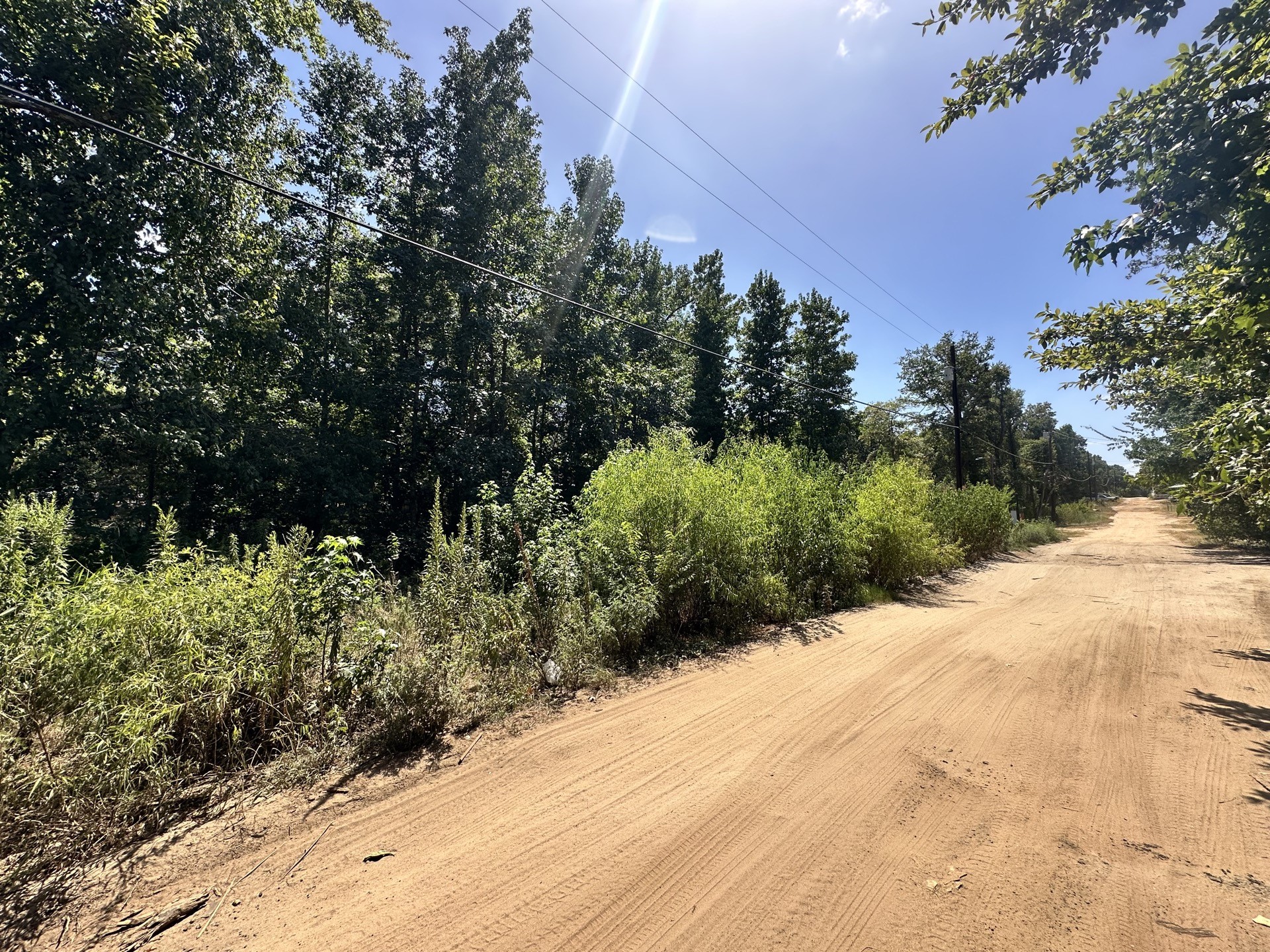 Lot 669 Dogwood Trail Property Photo 3