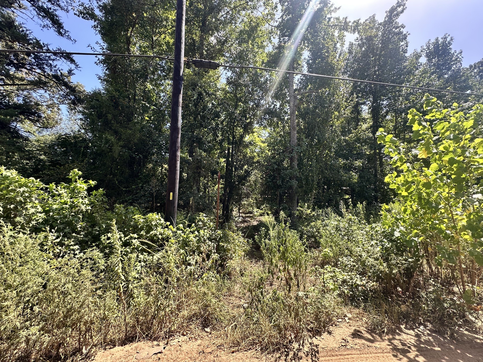 Lot 669 Dogwood Trail Property Photo 6
