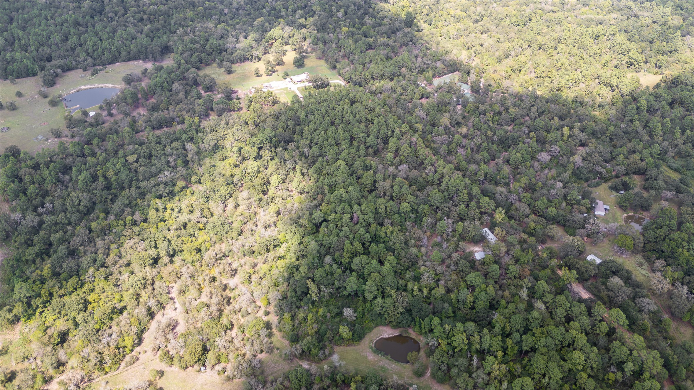 Tbd Lou Bee Lane Property Photo 10