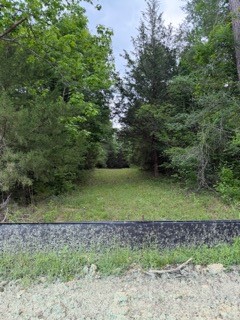 139785 Winters Vista Drive Property Photo 8