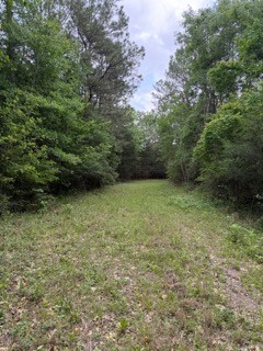 139785 Winters Vista Drive Property Photo 9