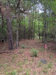 139785 Winters Vista Drive Property Photo 10