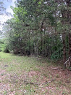 139785 Winters Vista Drive Property Photo 12