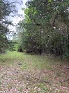 139785 Winters Vista Drive Property Photo 13