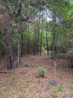 139785 Winters Vista Drive Property Photo 14