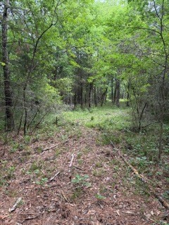 139785 Winters Vista Drive Property Photo 15