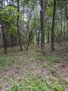 139785 Winters Vista Drive Property Photo 16