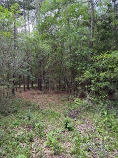 139785 Winters Vista Drive Property Photo 18