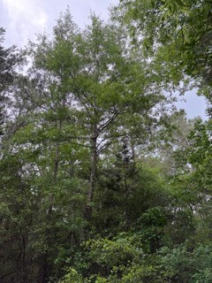 139785 Winters Vista Drive Property Photo 19