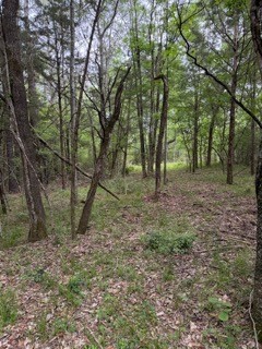 139785 Winters Vista Drive Property Photo 21