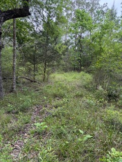 139785 Winters Vista Drive Property Photo 22