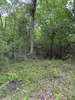 139785 Winters Vista Drive Property Photo 23