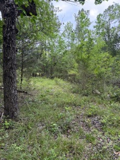 139785 Winters Vista Drive Property Photo 25