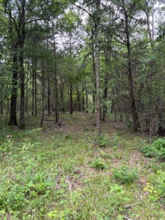 139785 Winters Vista Drive Property Photo 26