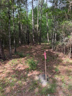 139785 Winters Vista Drive Property Photo 27