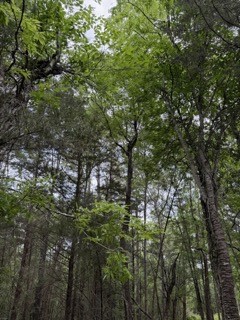 139785 Winters Vista Drive Property Photo 28