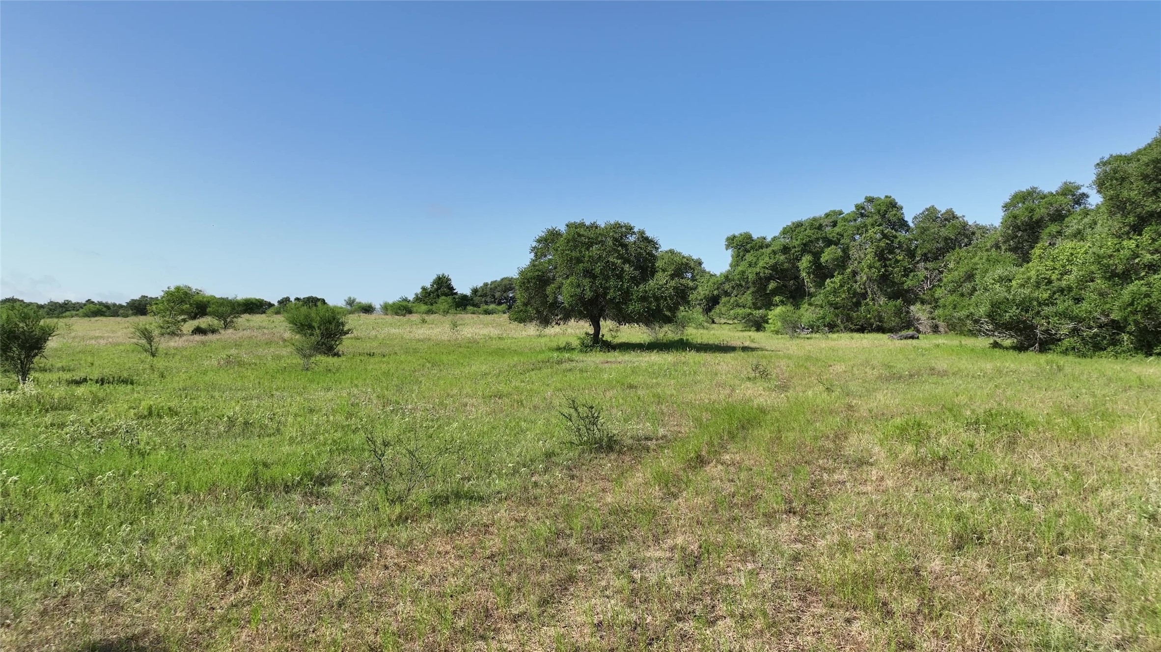 1649 County Road 209 Property Photo 5