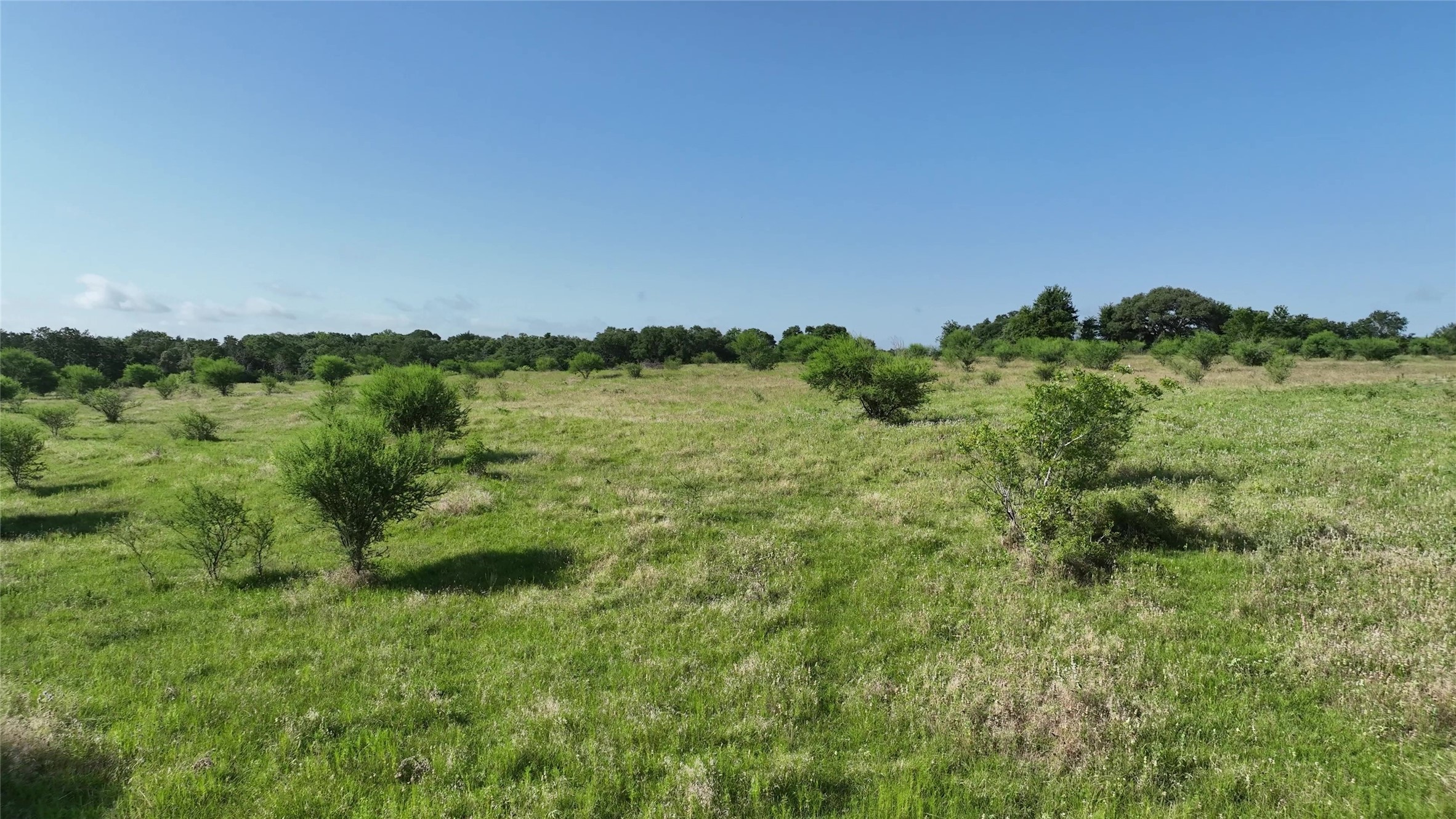 1649 County Road 209 Property Photo 6