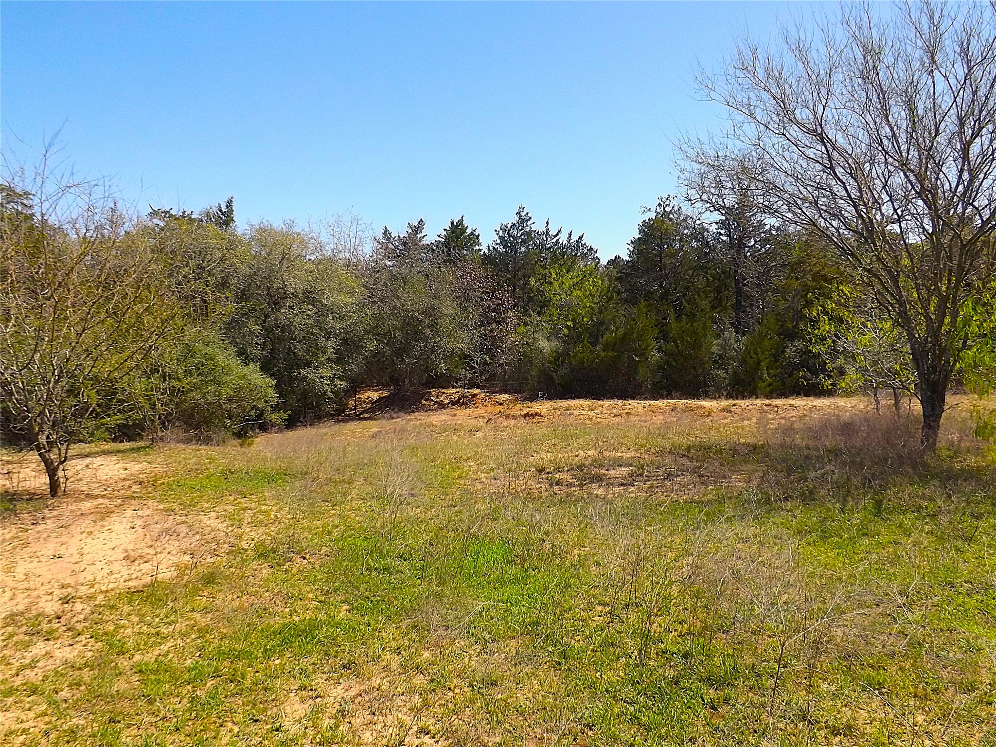1649 County Road 209 Property Photo 7