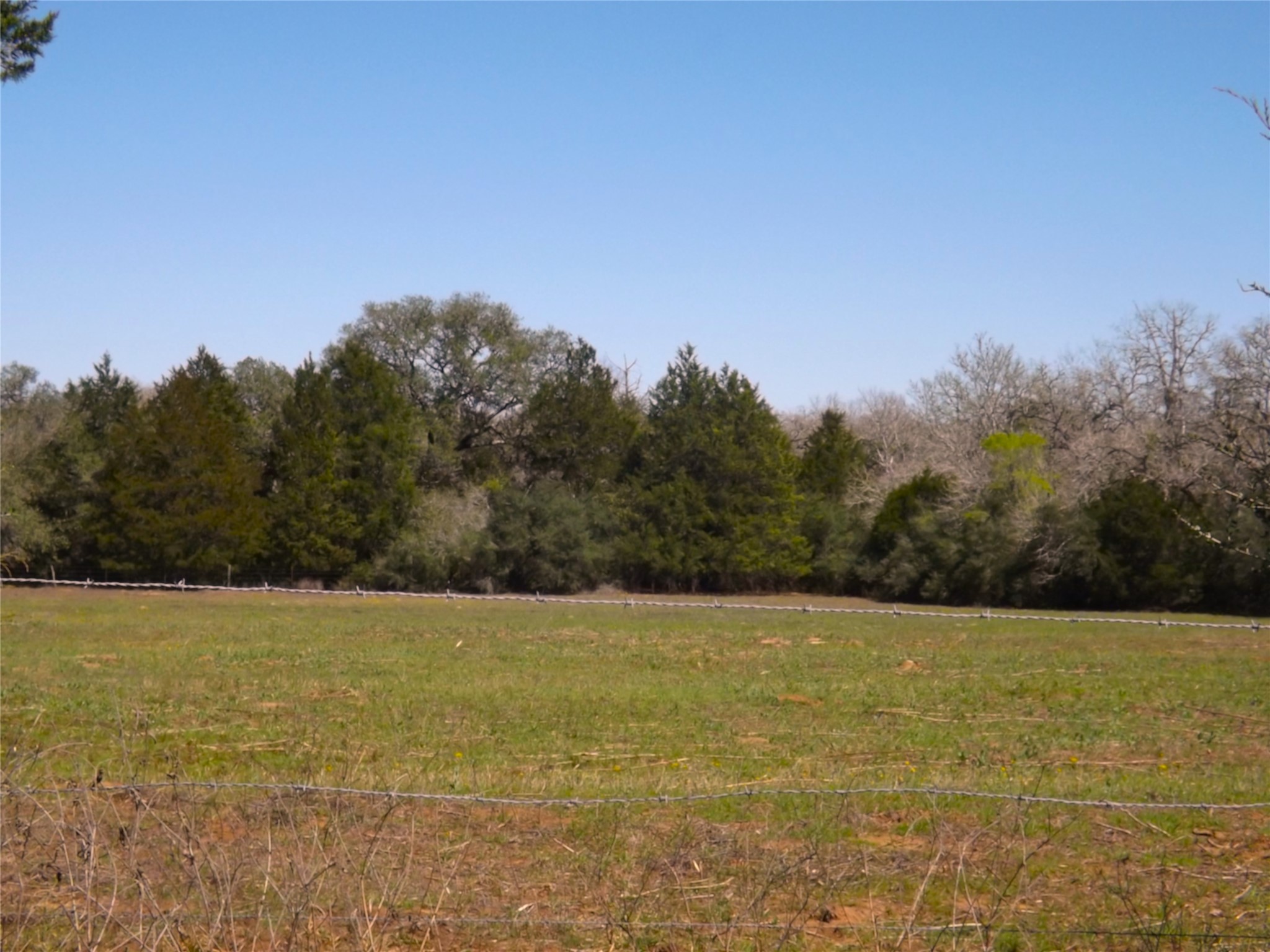 1649 County Road 209 Property Photo 11