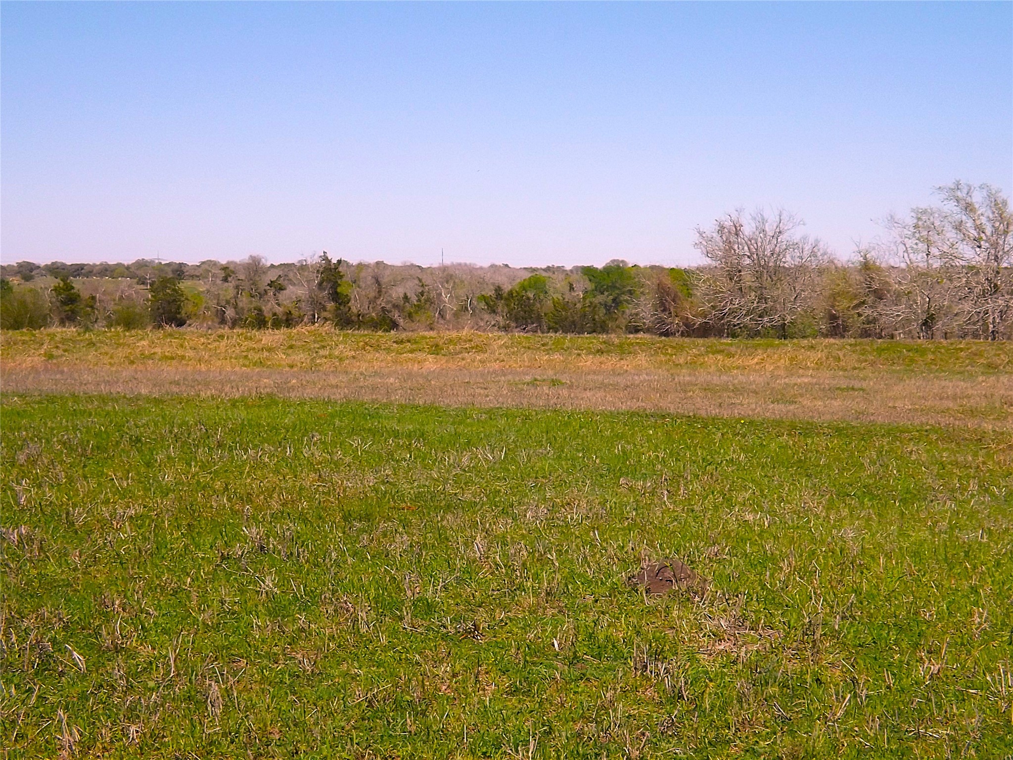 1649 County Road 209 Property Photo 15