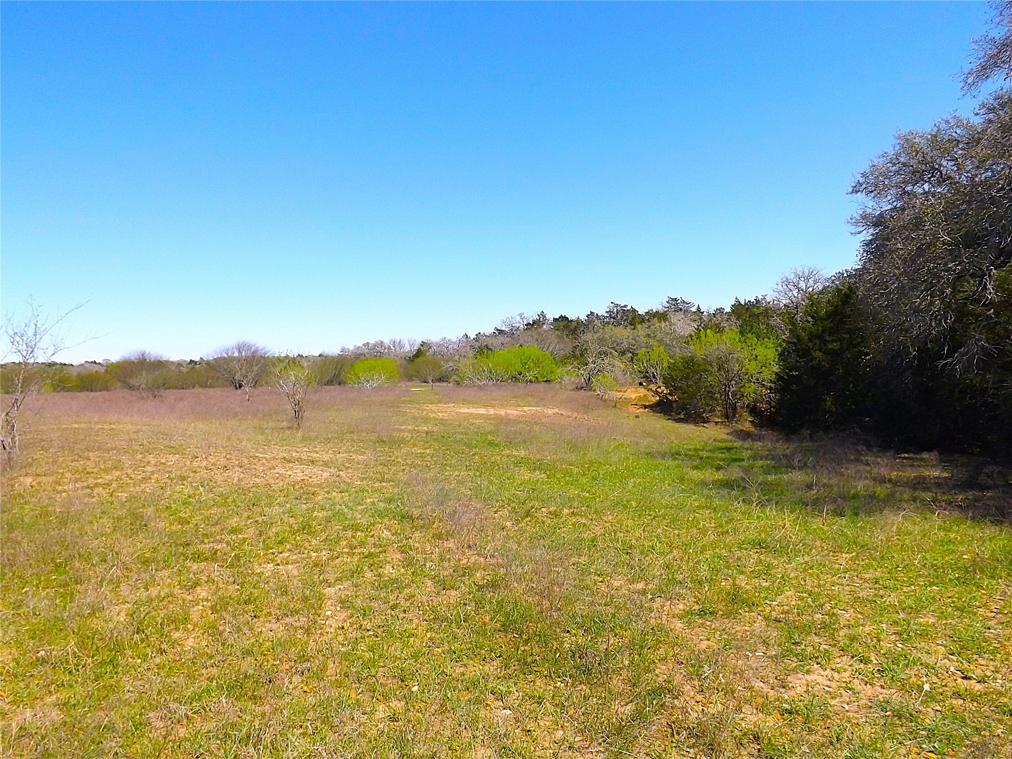 1649 County Road 209 Property Photo 18