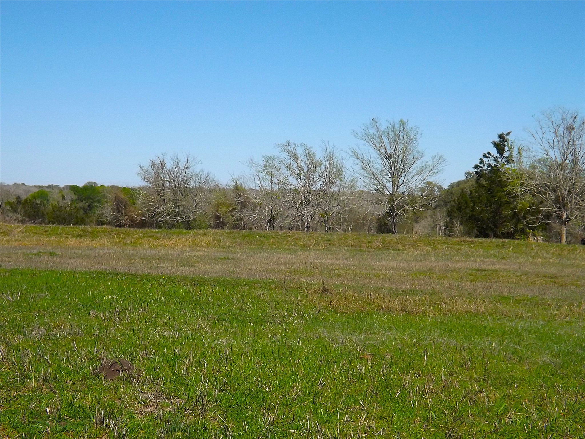 1649 County Road 209 Property Photo 21