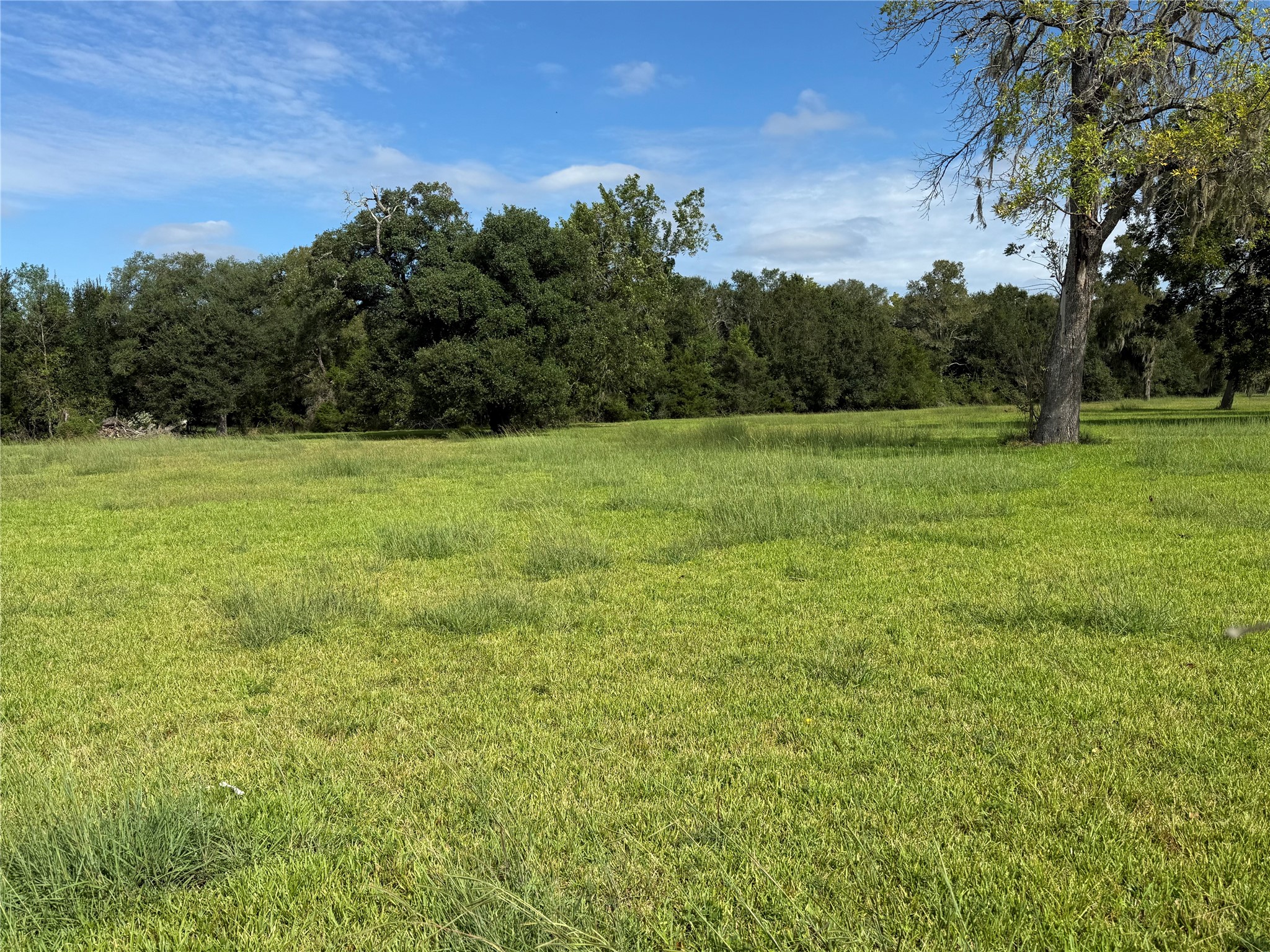 2988 County Road 5 Property Photo 4