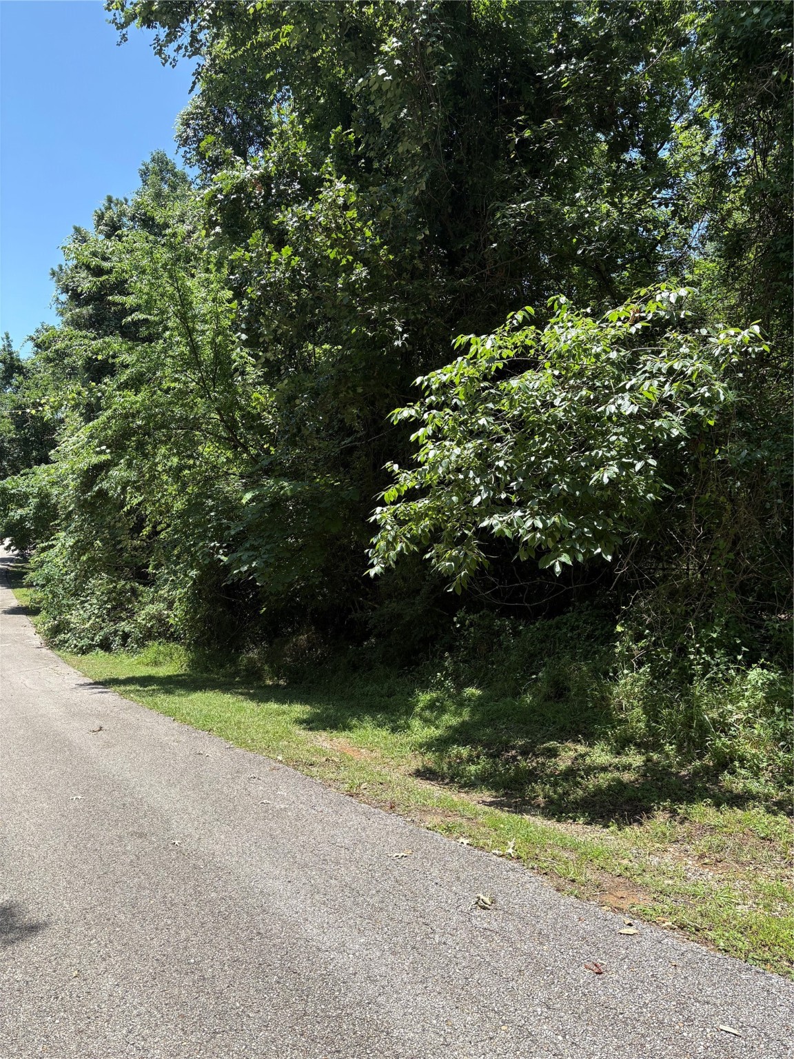 Tbd Lake Drive Property Photo 1