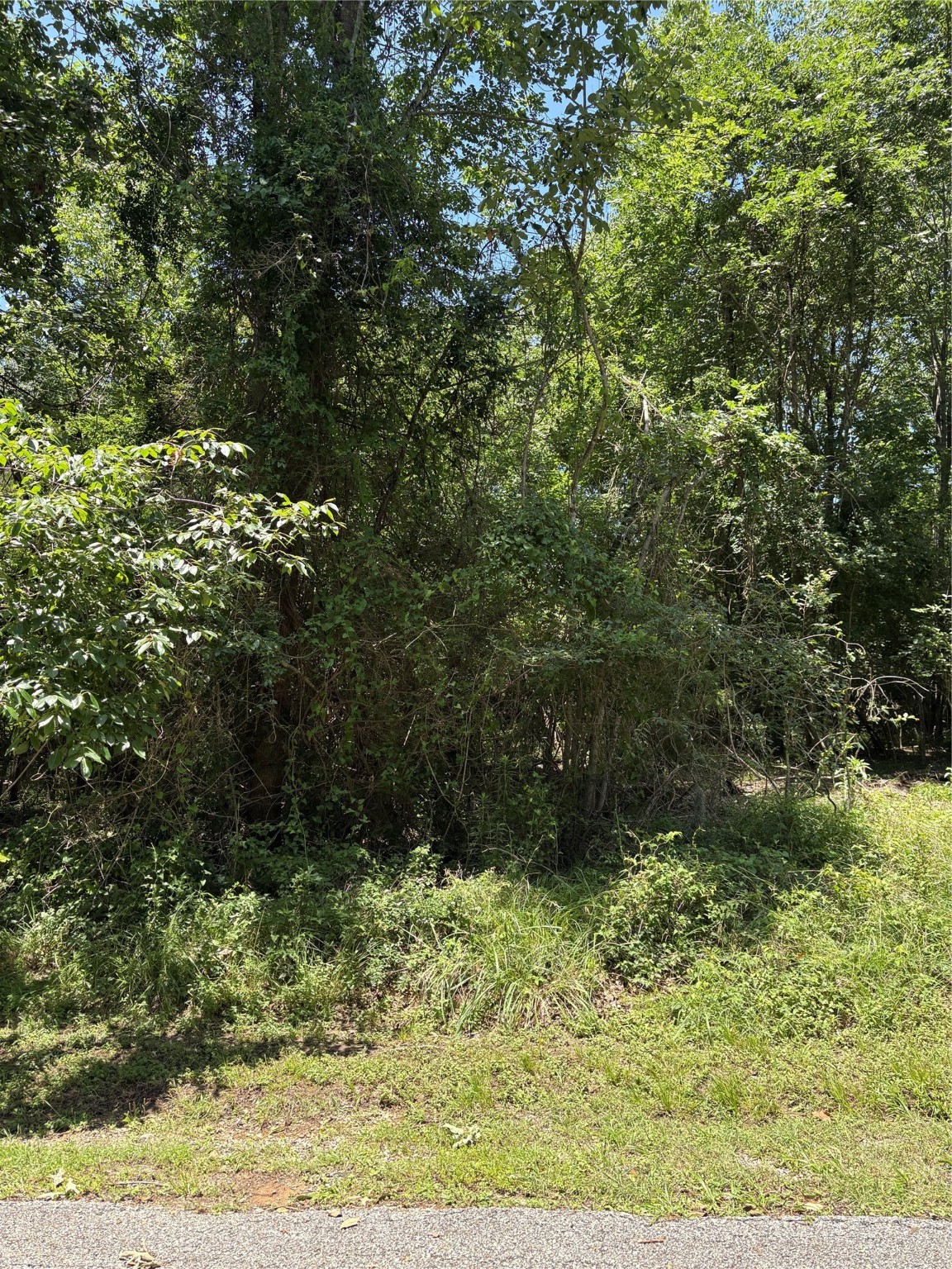 Tbd Lake Drive Property Photo 3