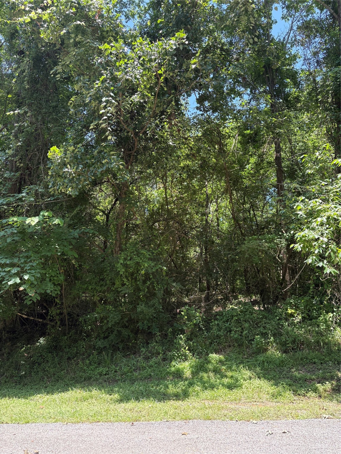 Tbd Lake Drive Property Photo 4