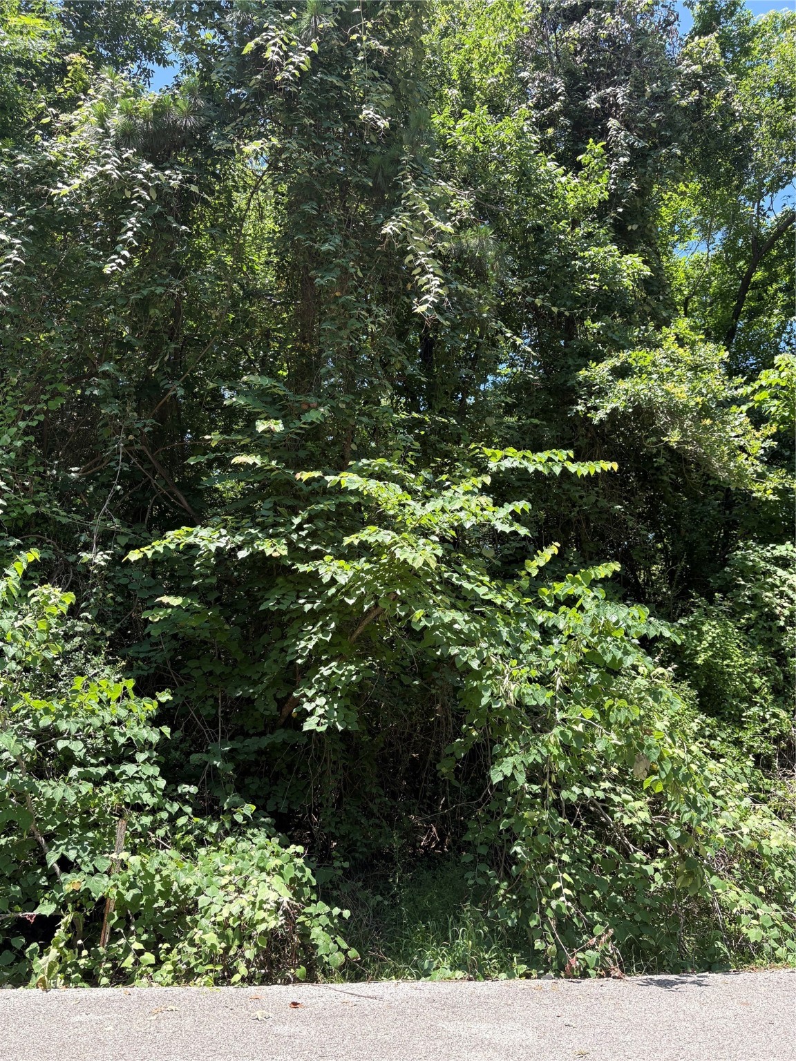 Tbd Lake Drive Property Photo 6