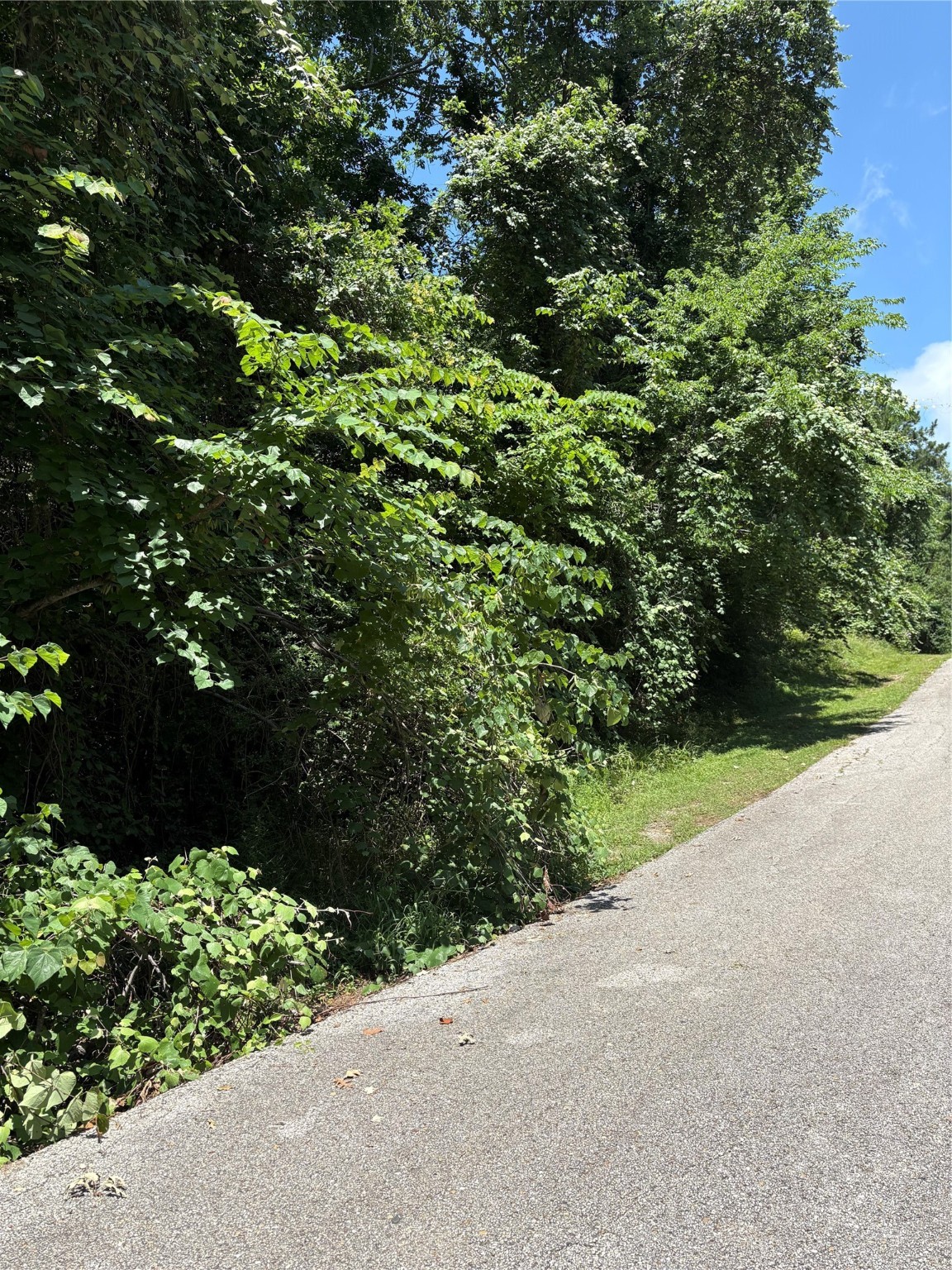 Tbd Lake Drive Property Photo 7