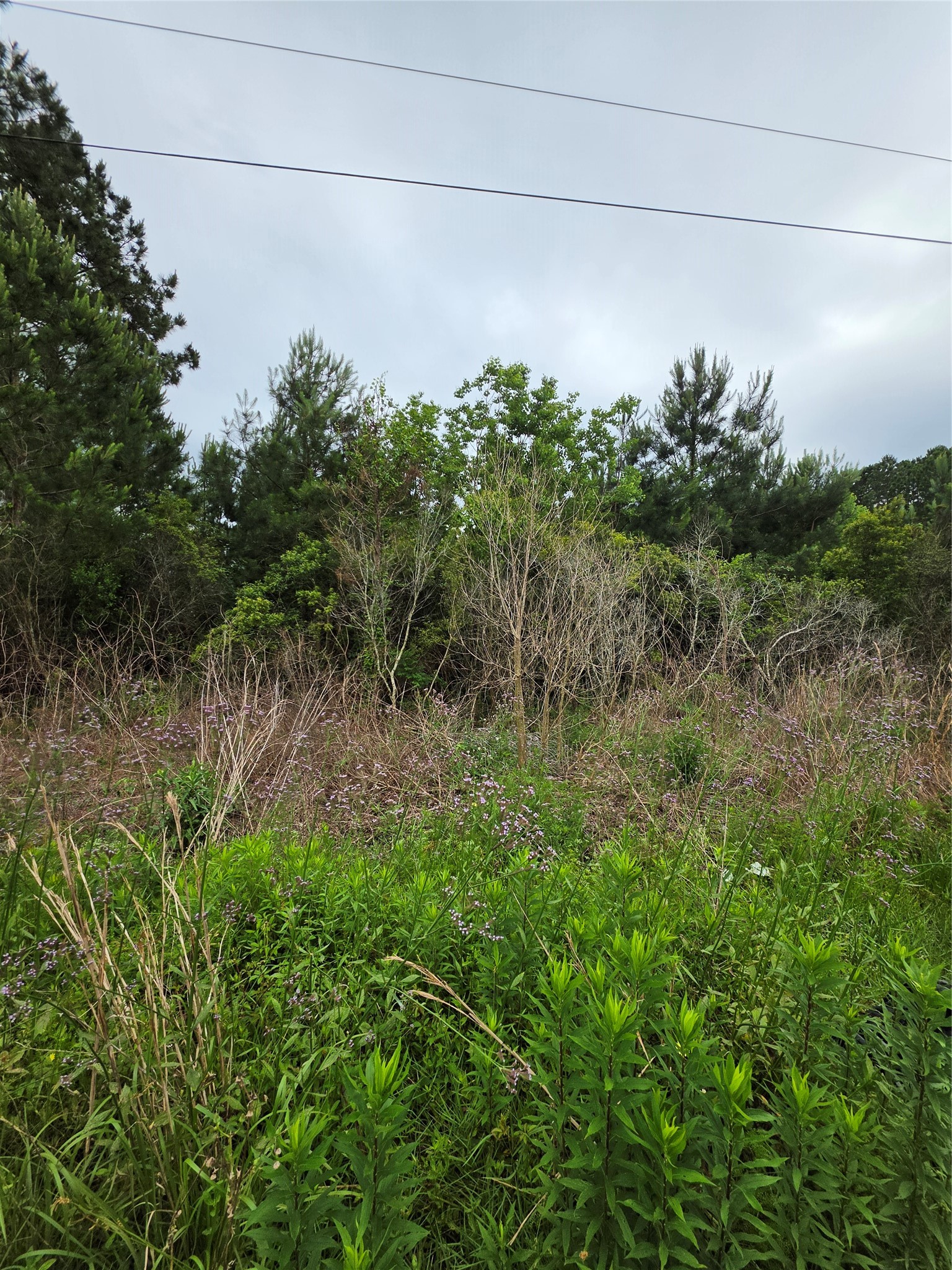 2777 County Road 3479b Property Photo 1