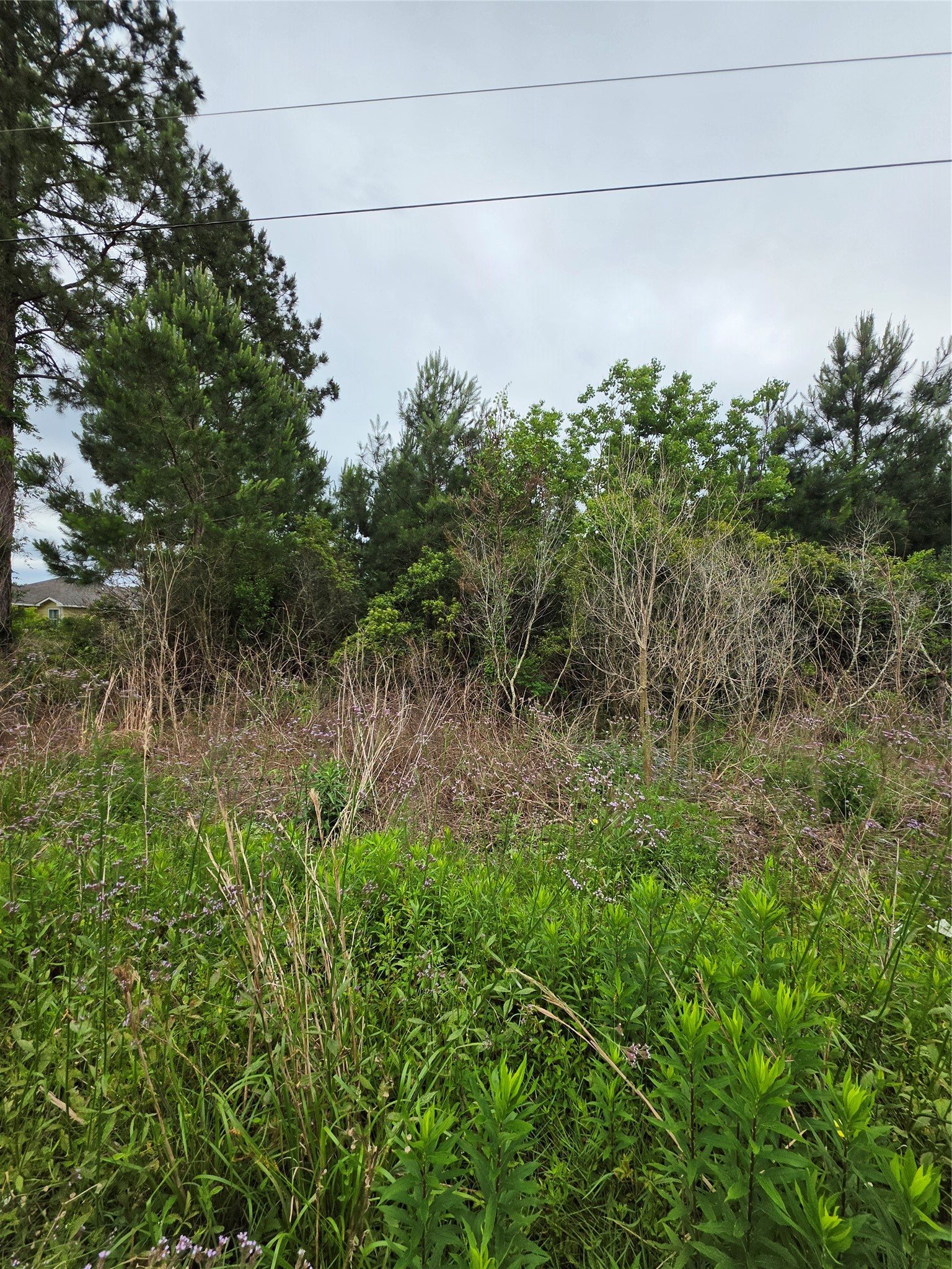 2777 County Road 3479b Property Photo 6