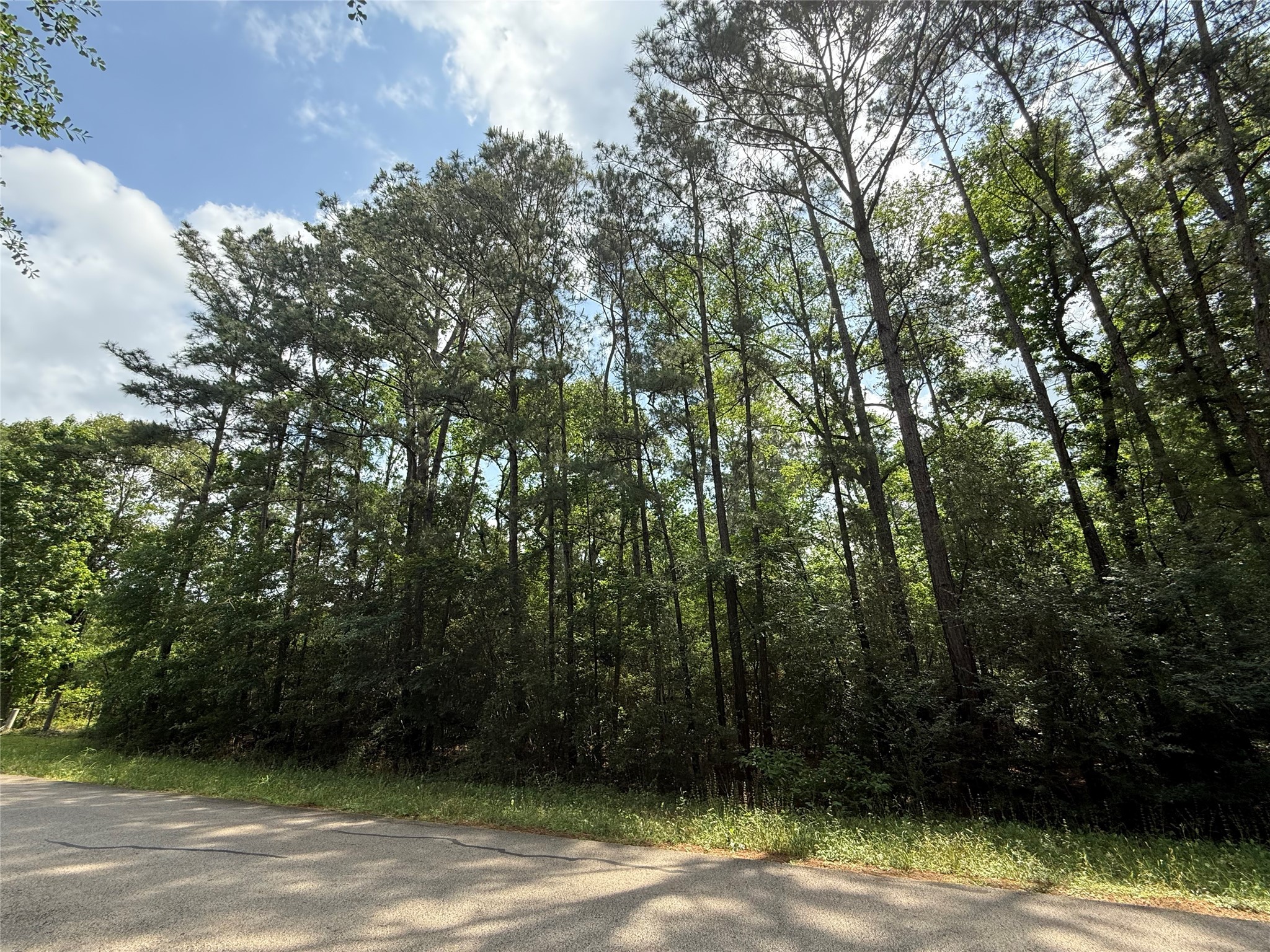 Tbd Todd Road Property Photo 4