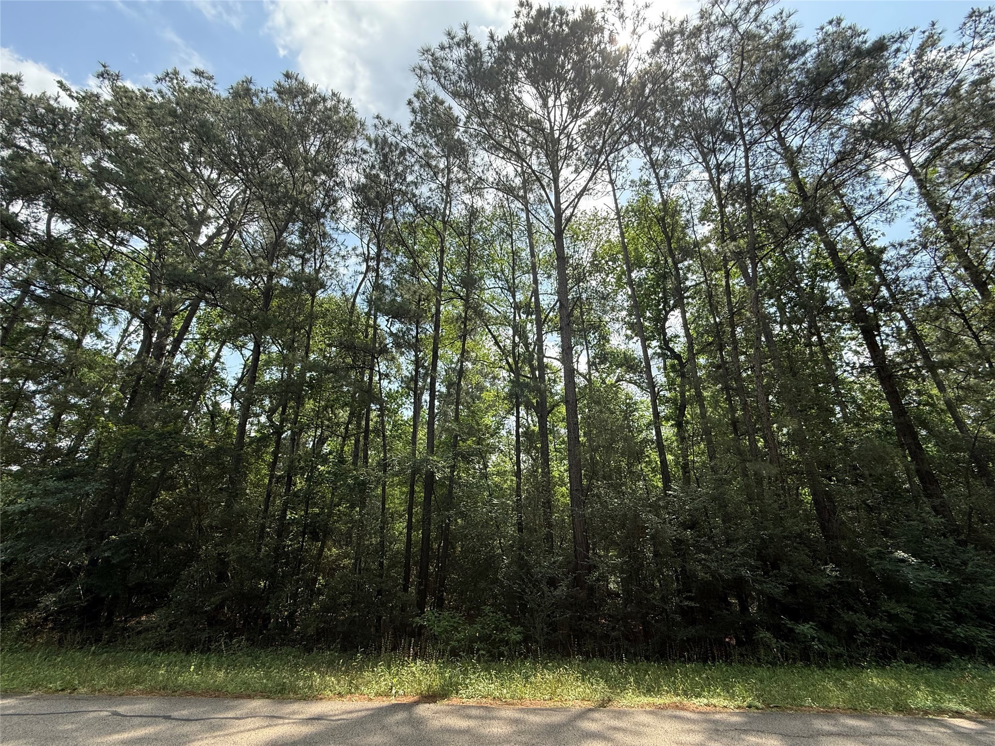 Tbd Todd Road Property Photo 5