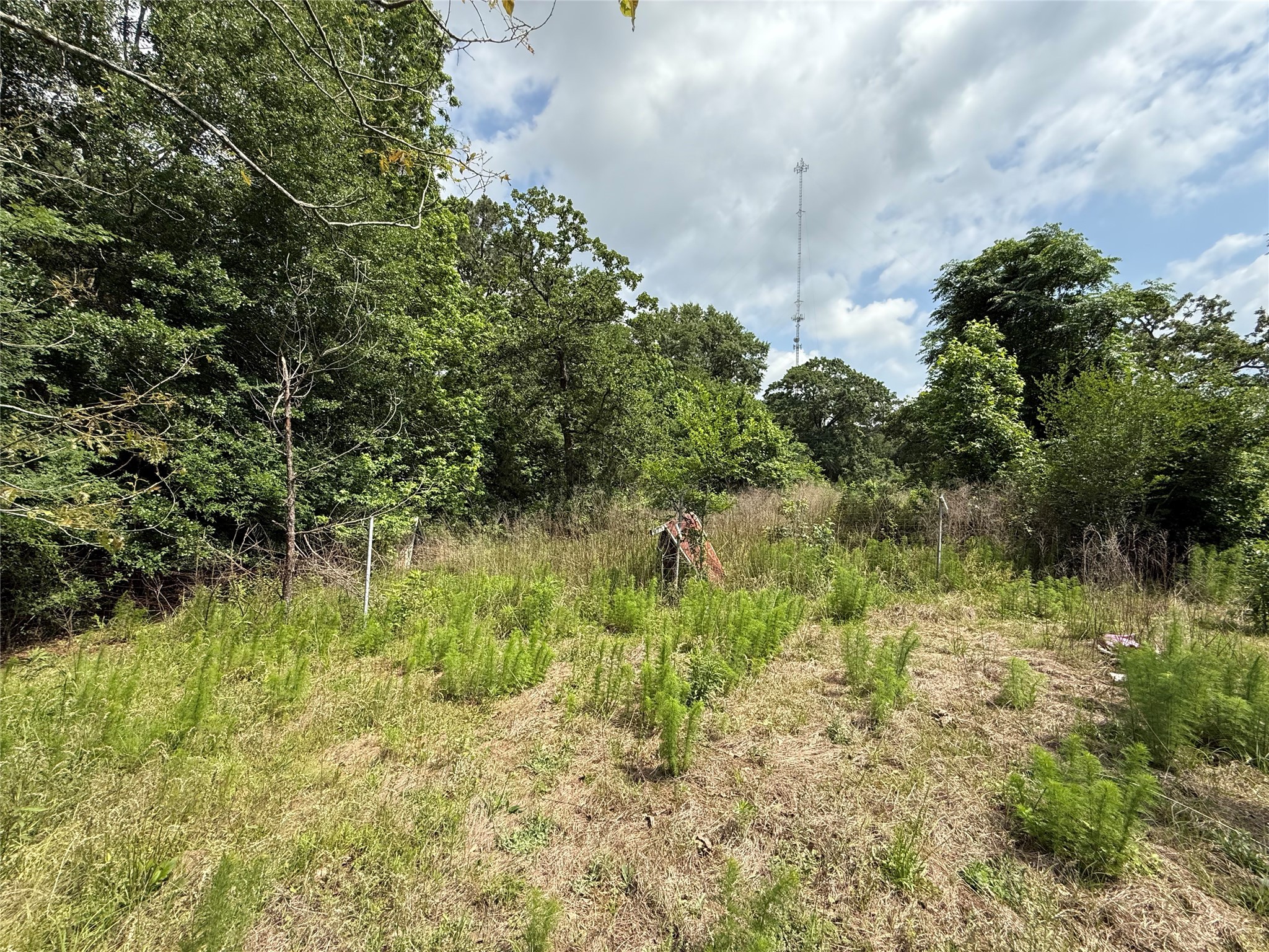 Tbd Todd Road Property Photo 6