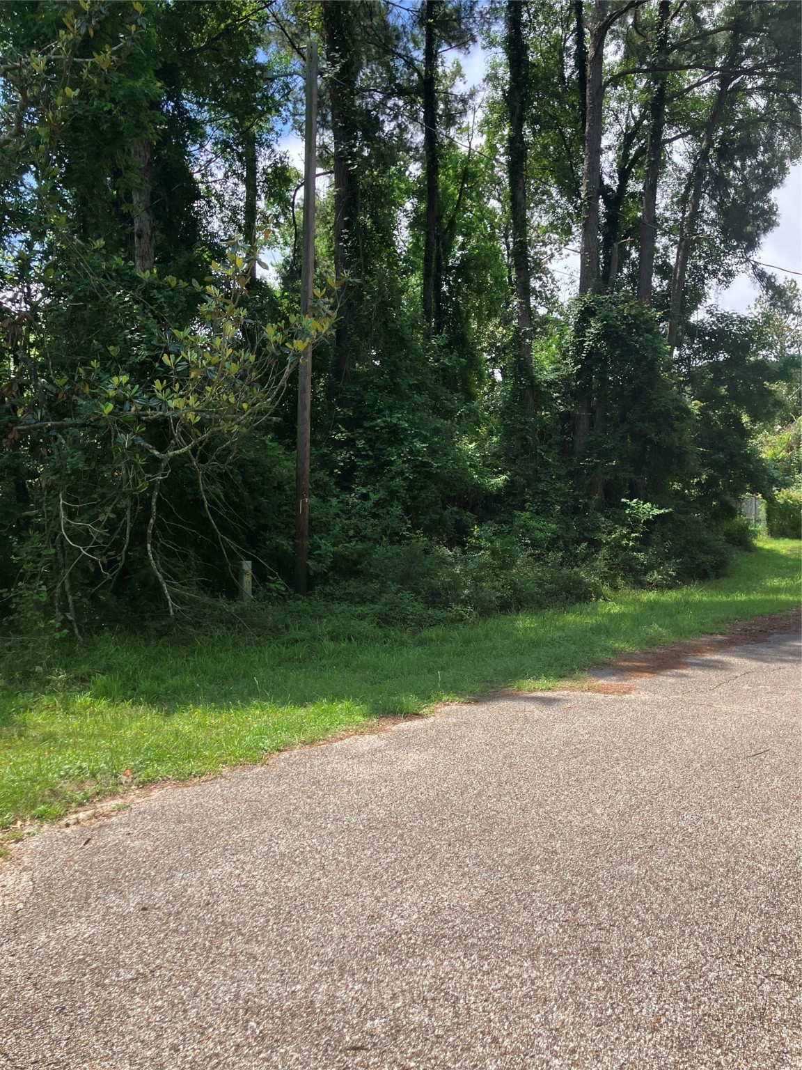 Tbd Holly Drive Property Photo