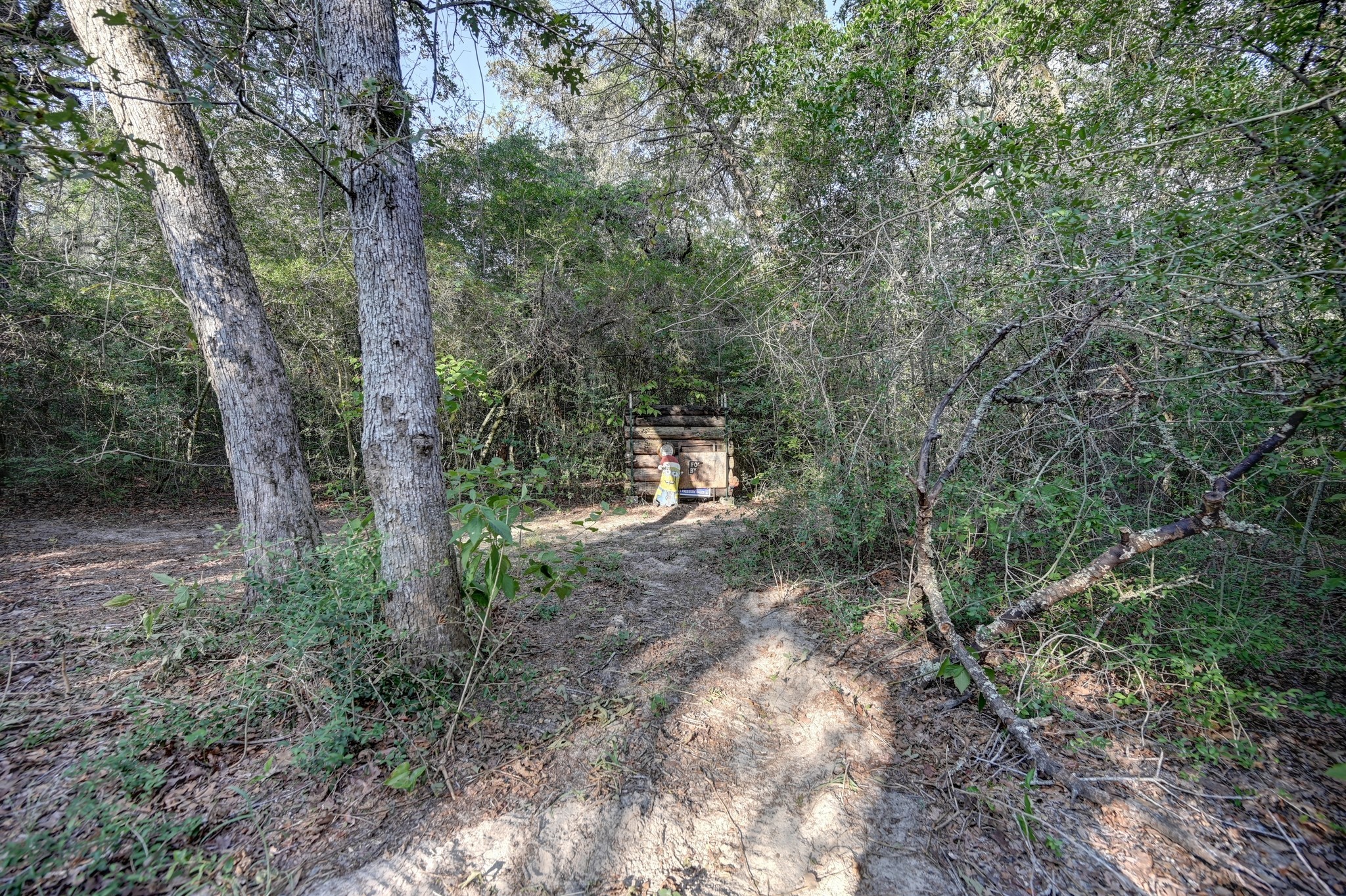 2839 County Road 316 Property Photo 10
