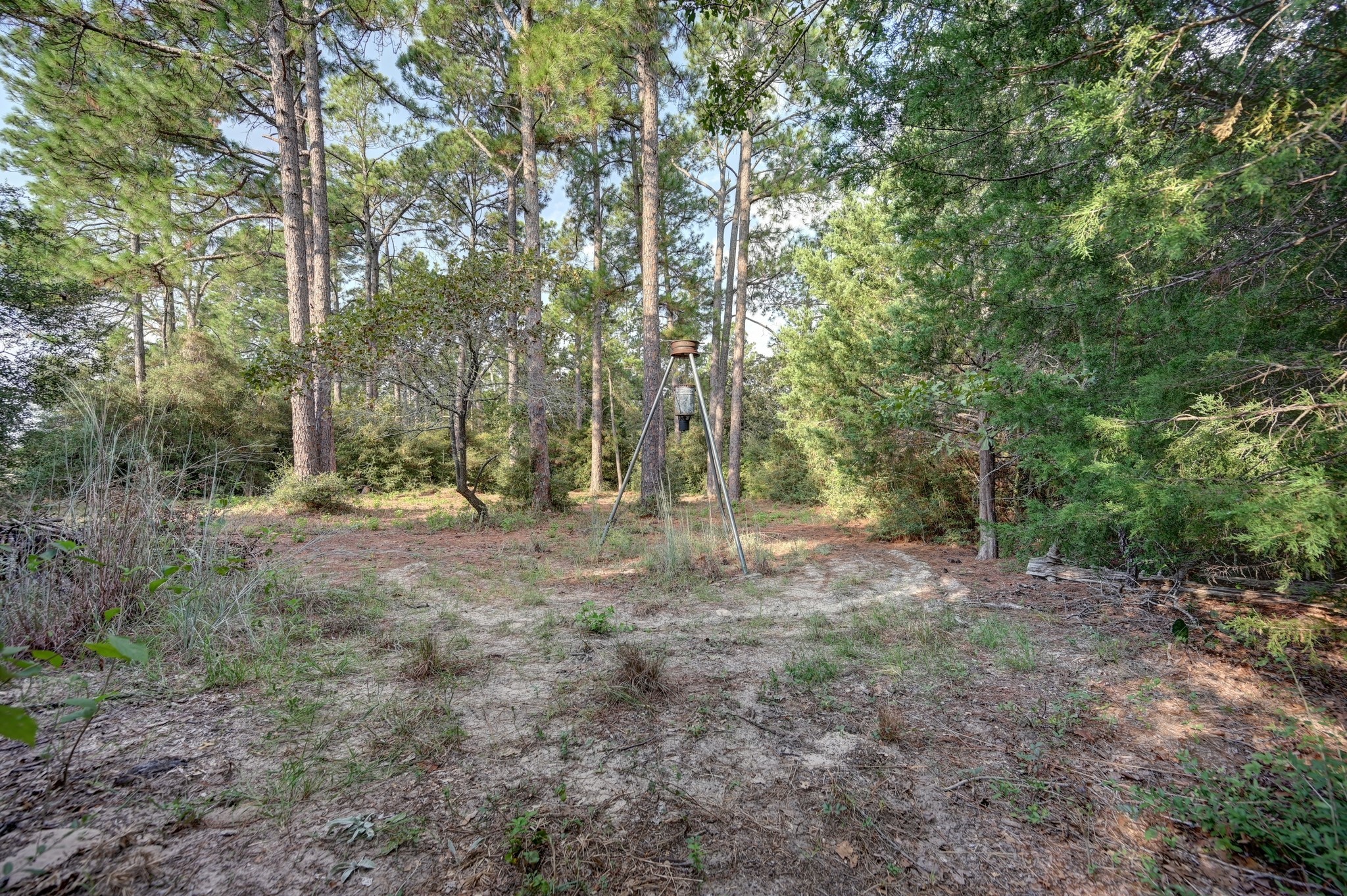 2839 County Road 316 Property Photo 17