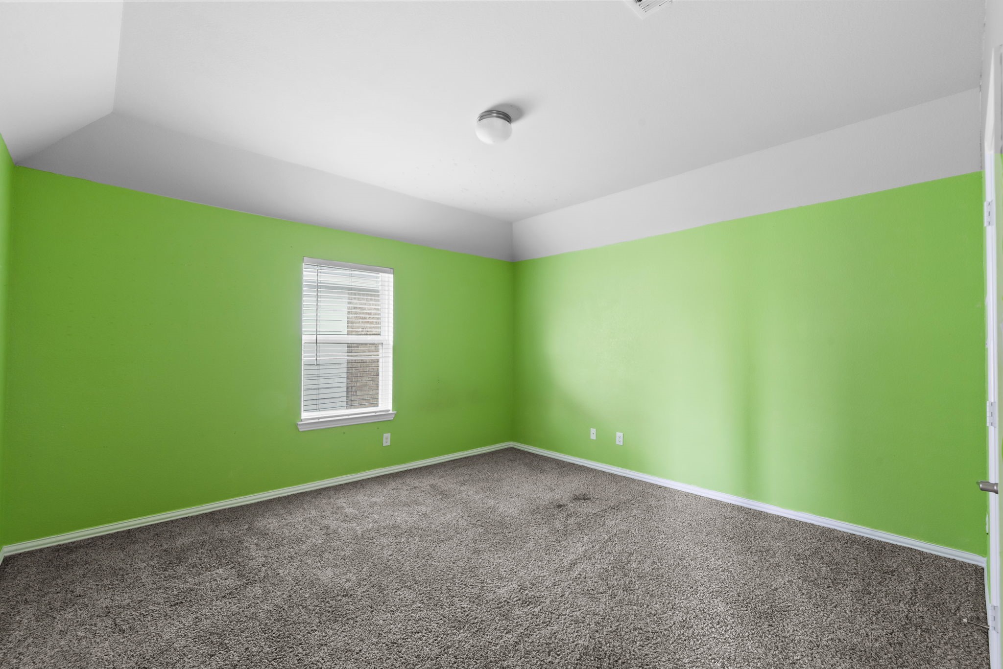 10015 Chase Court Property Photo 21