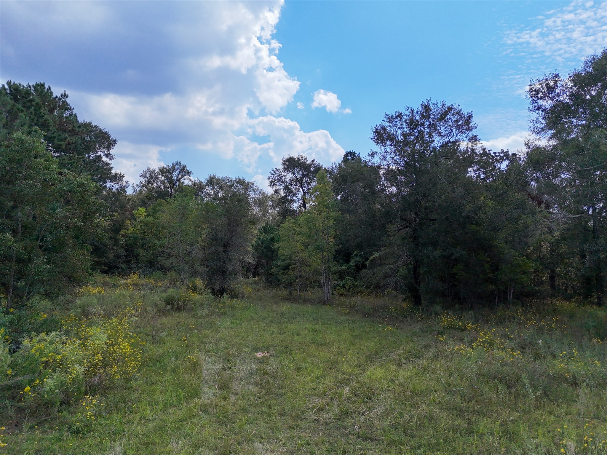 1108 Miracle Dr Drive Property Photo 11