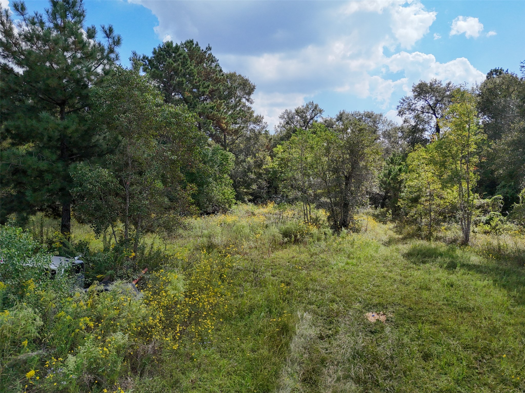 1108 Miracle Dr Drive Property Photo 12