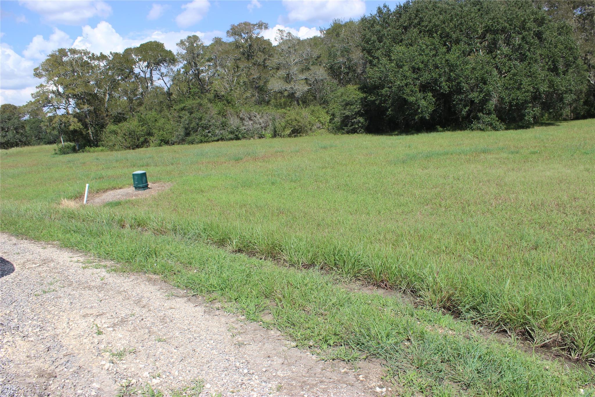 226 River Tree Drive, Blessing Tx 77419 Property Photo 1