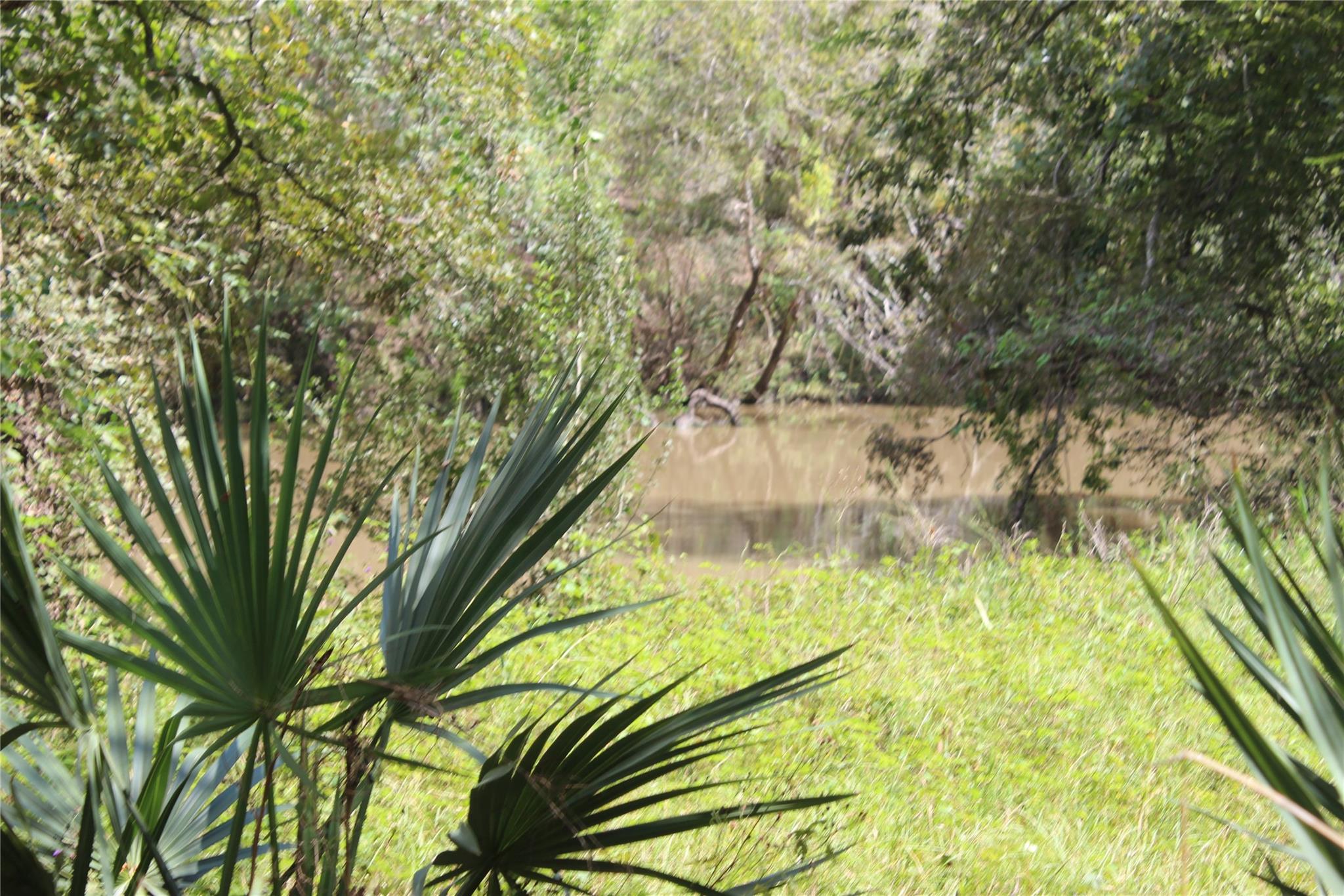 226 River Tree Drive, Blessing Tx 77419 Property Photo 5